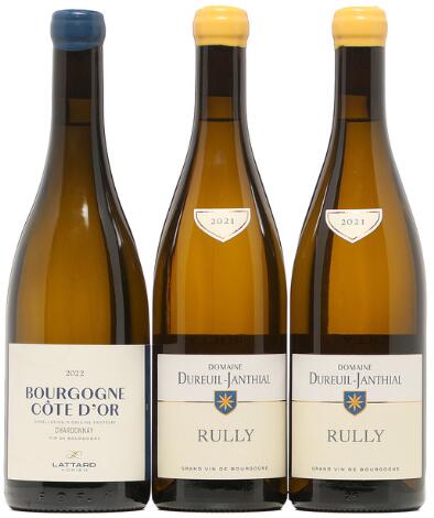 1 bt. Bourgogne Côte d'Or Blanc, Adrien Lattard 2022 A (hf/in). etc. Total 3 bts.