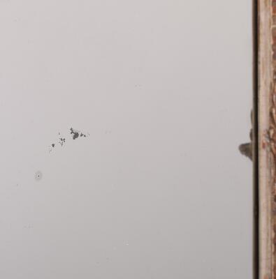 3rd of 7 images