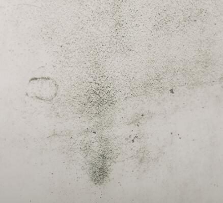 3rd of 7 images
