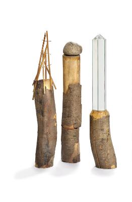 Første og eneste billede af emnet