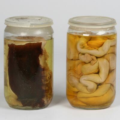 1. billede ud af i alt 6