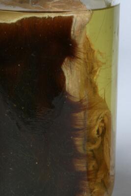 2. billede ud af i alt 6