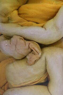 3. billede ud af i alt 6