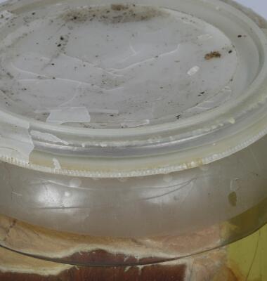 4. billede ud af i alt 6