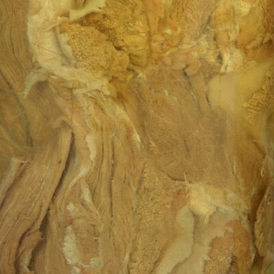 6. billede ud af i alt 6